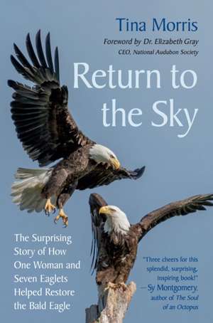 Return to the Sky de Tina Morris