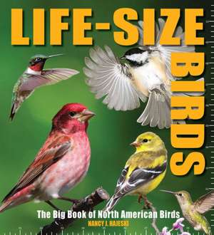 Life-Size Birds: The Big Book of North American Birds de Nancy J. Hajeski