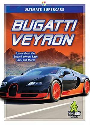 Bugatti Veyron de Megan Ray Durkin