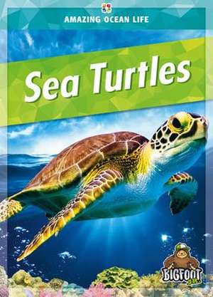 Sea Turtles de Colleen Sexton