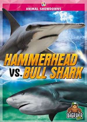 Hammerhead vs. Bull Shark de Teresa Klepinger