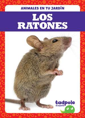 Los Ratones (Mice) de Genevieve Nilsen