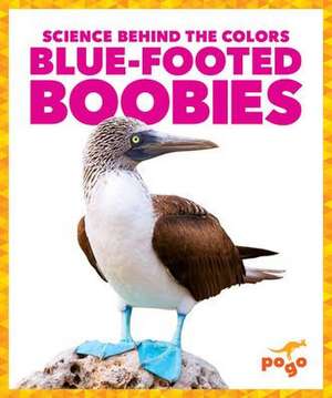 Blue-Footed Boobies de Alicia Z Klepeis