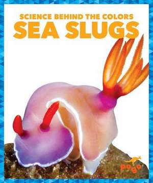 Sea Slugs de Alicia Z Klepeis