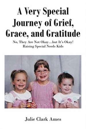 A Very Special Journey of Grief, Grace, and Gratitude de Julie Clark Ames