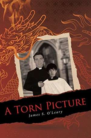 A Torn Picture de James S. O'Leary