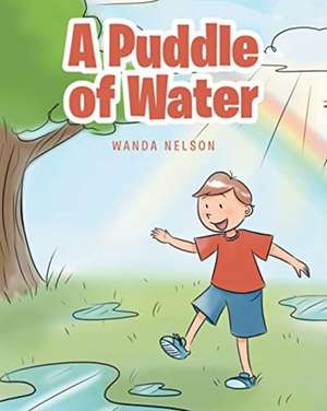 A Puddle of Water de Wanda Nelson