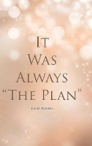 It Was Always "The Plan" de David Defebbo
