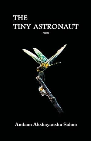 The Tiny Astronaut de Amlaan Akshayanshu Sahoo