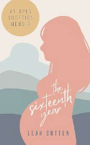 The Sixteenth Year de Leah Outten