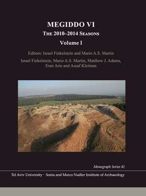 Megiddo VI – The 2010–2014 Seasons de Israel Finkelstein