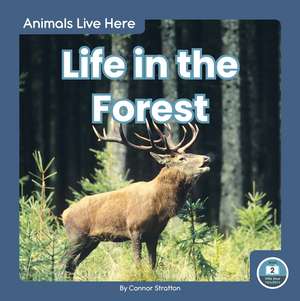 Life in the Forest de Connor Stratton