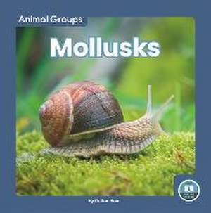 Mollusks de Dalton Rains