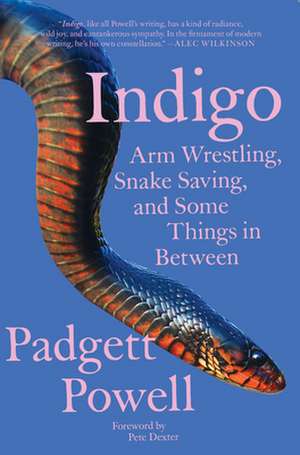 Indigo: Arm Wrestling, Snake Saving, and Some Things in Between de Padgett Powell