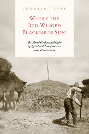 Where the Red-Winged Blackbirds Sing: The Akimel O'odham and Cycles of Agricultural Transformation in the Phoenix Basin de Jennifer Bess