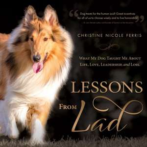 Lessons from Lad de Christine Nicole Ferris