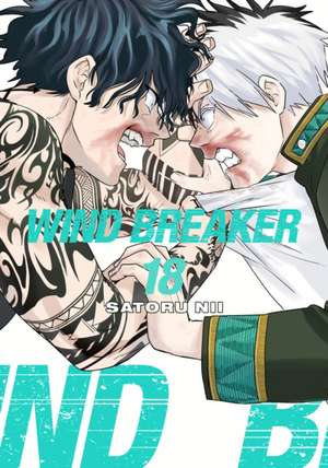 Wind Breaker 18 de Satoru Nii
