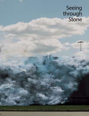 Seeing Through Stone de Gina Dent