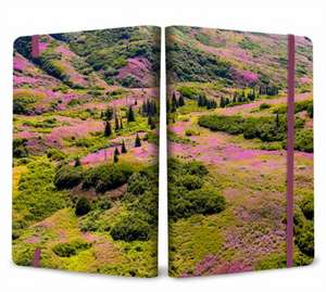 Refuge: Purple Fireweed Softcover Notebook de Insights