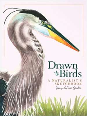 Drawn to Birds: A Naturalist's Sketchbook de Jenny Defouw Geuder