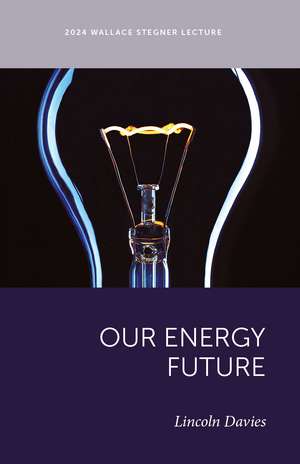 Our Energy Future de Lincoln Davies