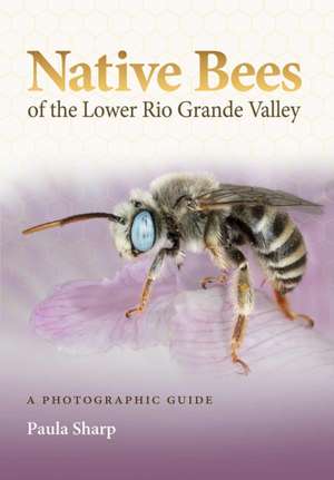 Native Bees of the Lower Rio Grande Valley de Paula Sharp