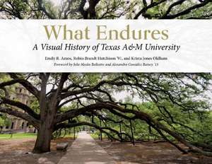 What Endures de Emily R Amos