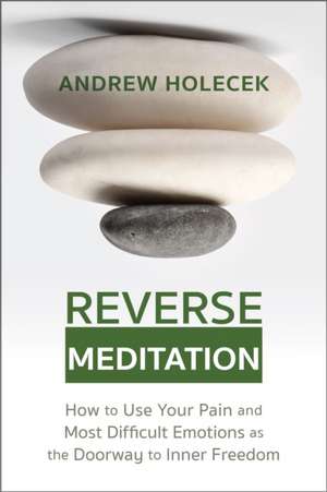 Reverse Meditation de Andrew Holecek