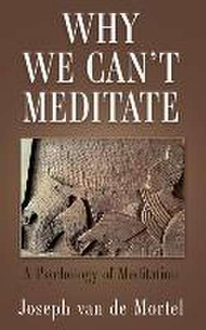 Why We Can't Meditate de Joseph van de Mortel