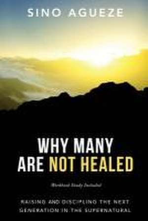 Why Many Are Not Healed de Sino Agueze