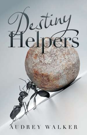 Destiny Helpers de Audrey Walker