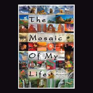 The Mosaic of My Life (Color Version) de Hosain Mosavat