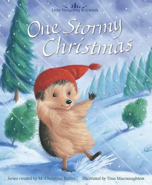 One Stormy Christmas de M.christina Butler