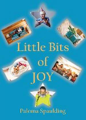 Little Bits of Joy de Paloma Spaulding