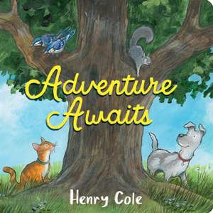 Adventure Awaits de Henry Cole