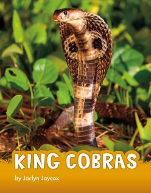 King Cobras de Jaclyn Jaycox