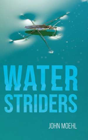 Water Striders de John Moehl