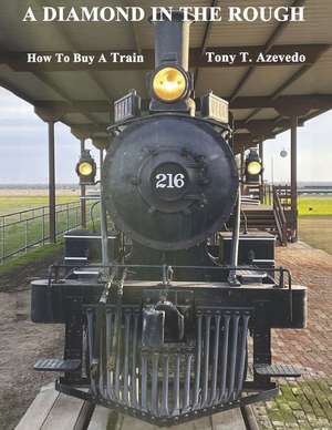 A Diamond in the Rough: How to Buy a Train de Tony T. Azevedo