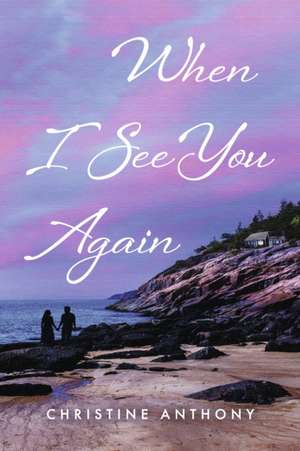 When I See You Again de Christine Anthony