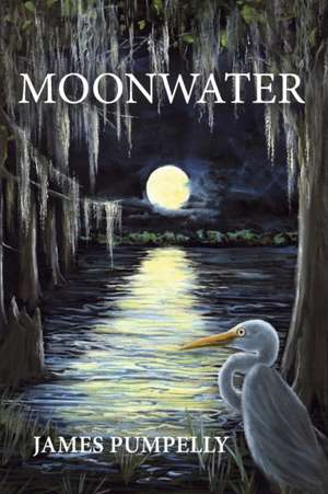 Moonwater de James Pumpelly