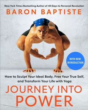 Journey Into Power de Baron Baptiste