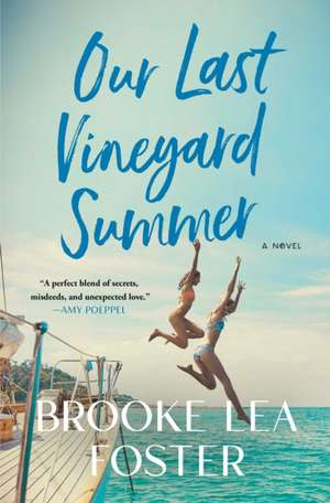 Our Last Vineyard Summer de Brooke Lea Foster