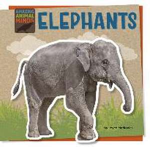 Elephants de Joyce Markovics