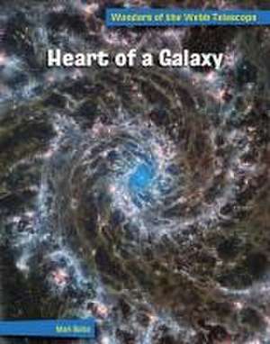 Heart of a Galaxy de Mari Bolte