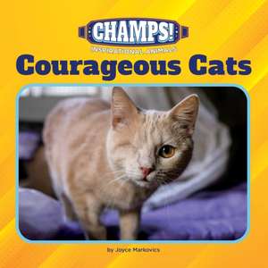 Courageous Cats de Joyce Markovics