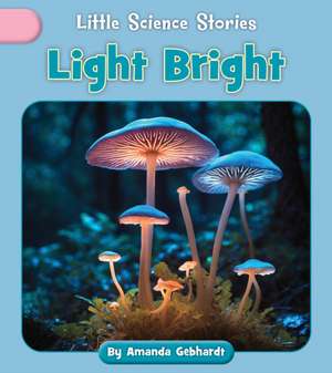 Light Bright de Amanda Gebhardt