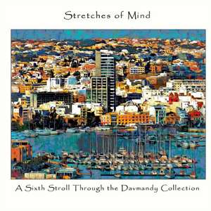 Stretches of Mind de David Petersen