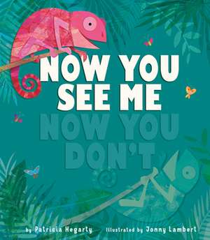 Now You See Me, Now You Don't de Patricia Hegarty