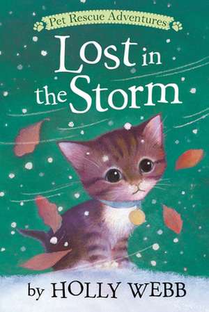 Lost in the Storm de Holly Webb