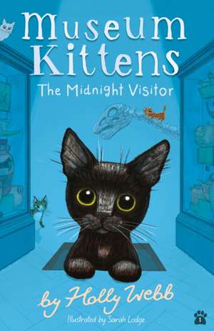 The Midnight Visitor de Holly Webb